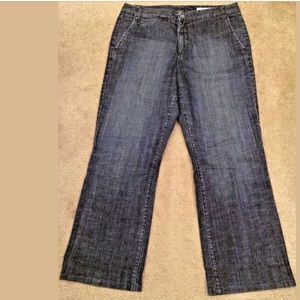 CHICO’s Ritz Denim Jeans Trouser Dark Wash Short